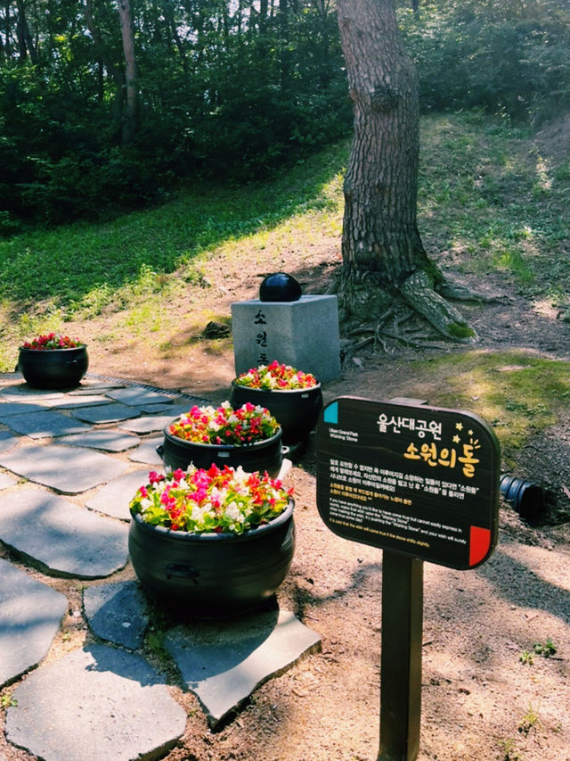 도심 속 자연에게 온전히 기대는 국내 여행 한 페이지