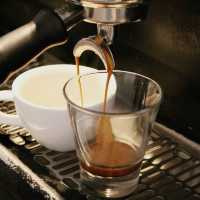 Blush Mornings & Rosy Rituals