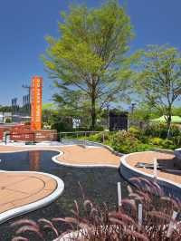 The Salty Breath of Sai Sha