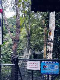 Nature Retreat Inn🍃