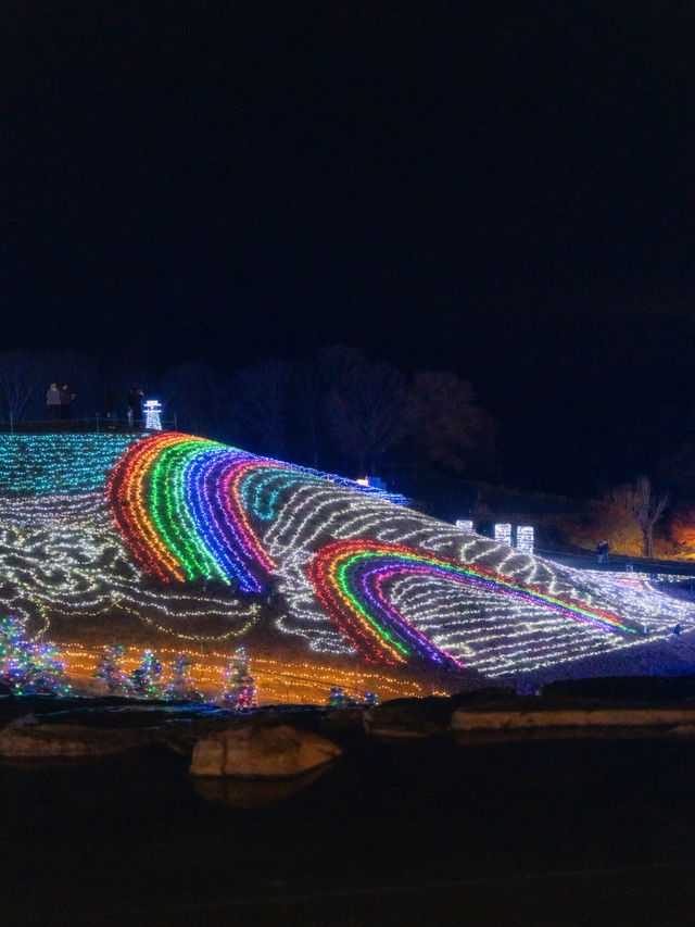 え？四国最大級のイルミネーションがたったの450円？！！まんのう公園のイルミネーション2025