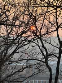 Sunset Cityscape🌇