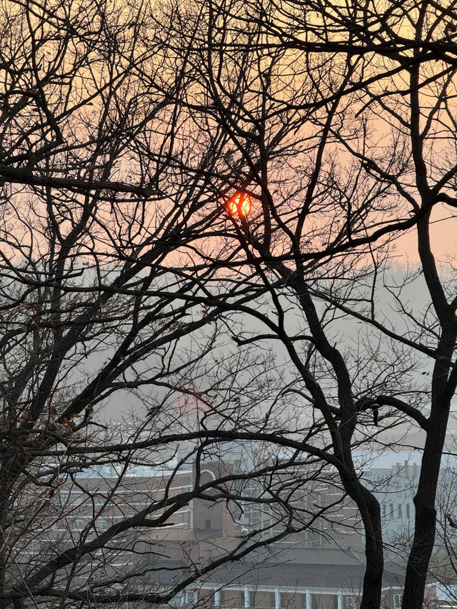 Sunset Cityscape🌇 Sunset Cityscape🌇