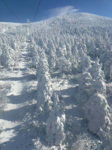 仙台の人気スポットを満喫！東北5日間モデルコース：温泉・絶景・絶品グルメの旅
