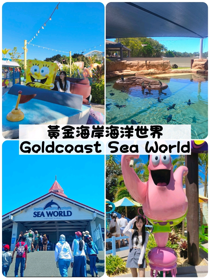 Sea World, Gold Coast, Úc - Chuyến đi trong ngày