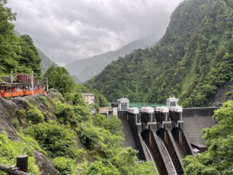Journey Through a Living Gorge: Kurobe Gorge Trolley Train