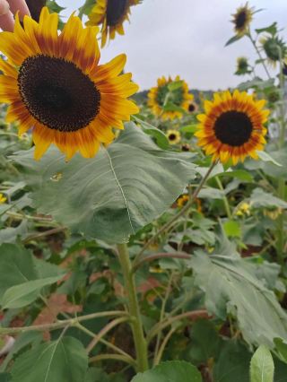 평소 목표를 향해 질주하고 각종 업무를 추진하느라, 우리는 오직 앞만 보고 성과를 좇으며 달리는 데 익숙해진 나머지, 늘 곁에서 서로를 포용하고 배려하며 서로.
