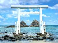 糸島半日遊～白色⛩️浪漫慘了