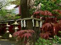 德川家康重建的華麗社殿: 秩父神社