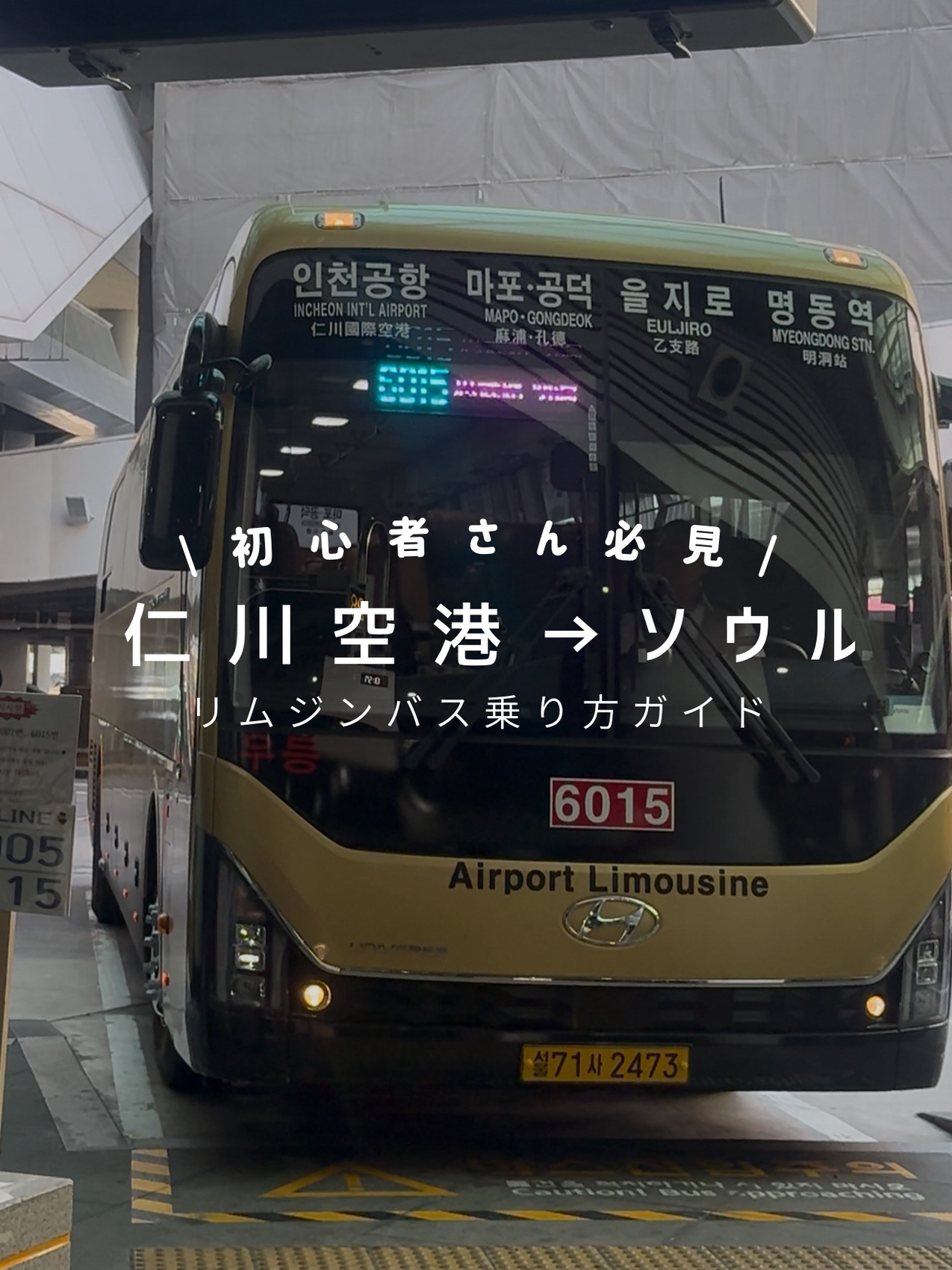 A must-see for first-time visitors to Korea ✈️🇰🇷
Getting from Incheon Airport to downtown Seoul:
Actually, taking the airport bus is very easy!

✔️No transfers ✔️Easy even with suitcases ✔️Ticket machines with Japanese language support available

This time, we've summarized how to get from Incheon Airport Terminal 2 to Myeongdong 🙌
【How to take the airport bus】① Go to the basement floor from the arrival lobby ② Purchase a ticket from the ticket machine ③ Go to the boarding area indicated on the ticket ④ Check your luggage and board the bus; you'll receive a ticket stub, so don't lose it ⑤ Get off at your destination and collect your luggage

⚠️Important Note⚠️ Previously, many routes allowed you to ride directly with a T-money card, but recently, most routes require ticket purchase.

For first-timers or those unfamiliar with Korea, purchasing tickets in advance is highly recommended! ✨
Estimated travel time to Myeongdong: 🕒 Approximately 90 minutes 💰 17,000 won

If you're hesitant about using the ticket machine, you can use the manned counter.
Even if you don't speak Korean, you can show a screenshot of your destination and buy a ticket instantly! Highly recommended! ←This is surprisingly fast!🤣

However, outside of operating hours, you'll need to use the ticket machine. 🙌

Taxis are cheaper when traveling in groups, so we use taxis.
If we want to shop at Seoul Station, we use AREX (a transportation service).
We choose our mode of transport depending on our purpose. 🙌

In the case of Incheon, we almost always take the airport limousine bus on the return trip! 🚌

@rana_korea__
Check out my other posts!
Likes, comments, and follows are appreciated! ✊🏻ˎˊ˗

#KoreaTravel #LimousineBus
#KoreaTravelInformation #IncheonAirport
#IncheonAirportTerminal2

