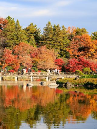 秋の昭和記念公園で紅葉狩り🍁✨
