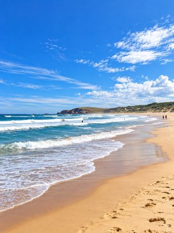 Phillip Island 🐧🌊 A magical natural island in Australia 🇦🇺

Experience the charm of Phillip Island, a popular natural destination near Melbourne, Victoria, Australia. It boasts stunning coastlines, ocean cliffs, and a tranquil atmosphere, perfect for escaping the hustle and bustle and relaxing amidst nature 🌿💙

A highlight not to be missed is the Penguin Parade, watching the adorable little penguins return to shore after foraging in the sea – a heartwarming sight that leaves a lasting impression on many tourists 🐧. In addition, there are beautiful coastal viewpoints, as well as rock formations and ocean waves that add to the special atmosphere of your trip.

If you're visiting Melbourne and want to experience the sea, see wildlife, and capture memorable photos amidst nature, Phillip Island is an essential addition to your list. You're guaranteed both enjoyment and wonderful memories 📸✨

#PhillipIsland #PenguinParade #Melbourne #VictoriaAustralia #TravelAustralia #BeautifulNature #BeachTrip #Wildlife #InternationalTravel #TravelAustralia #trip #tripcom #travel