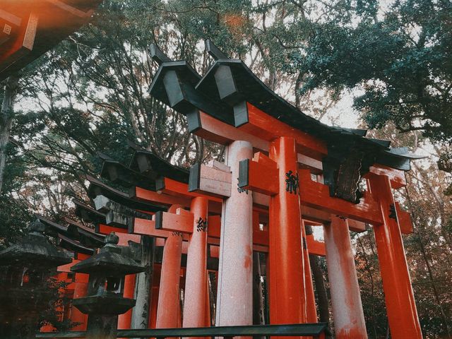 ⛩️MEMORIES OF KYOTO: THE CITY OF ZEN