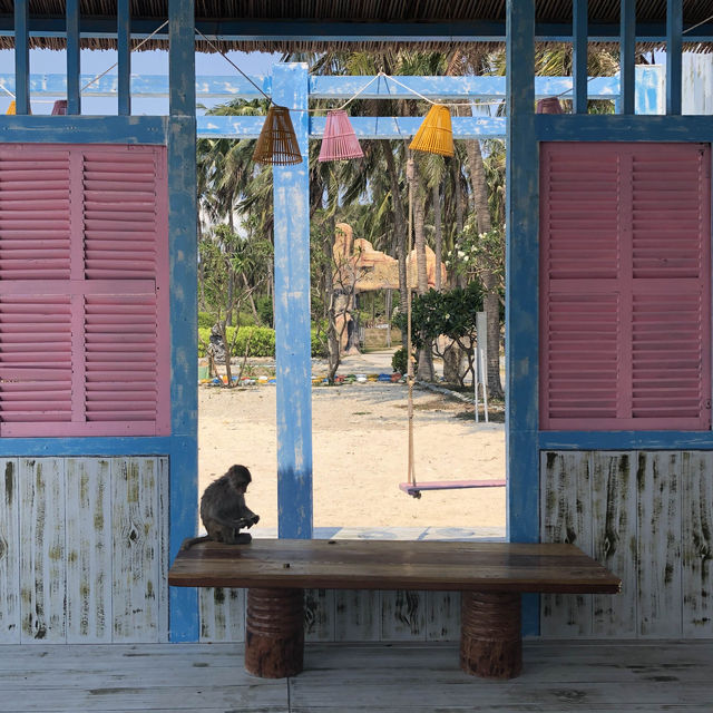 Monkeying Around in Paradise: Exploring Nha Trang's Wild Side!
