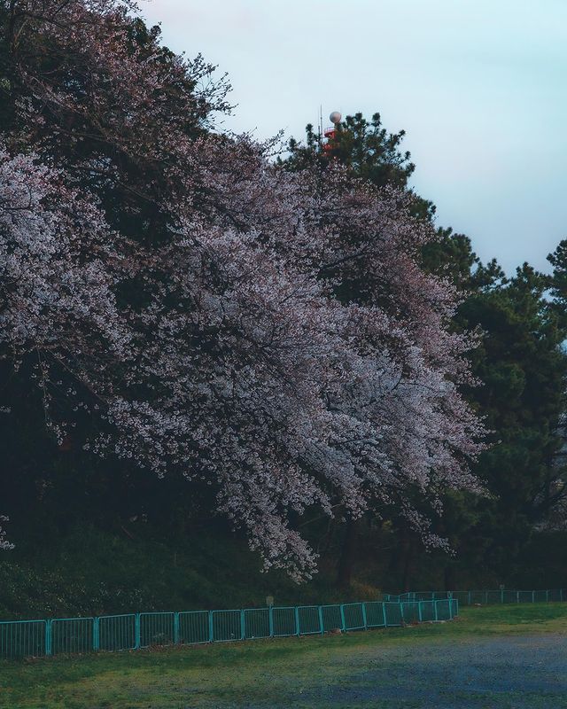 Must visit when traveling to Nagoya