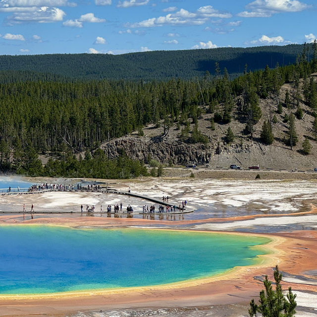 📍黃石國家公園 Yellowstone National Park 