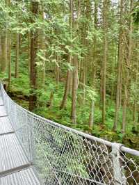 🇨🇦Vancouver근교에 시원하고 맑은 폭포Cascade falls regional park  