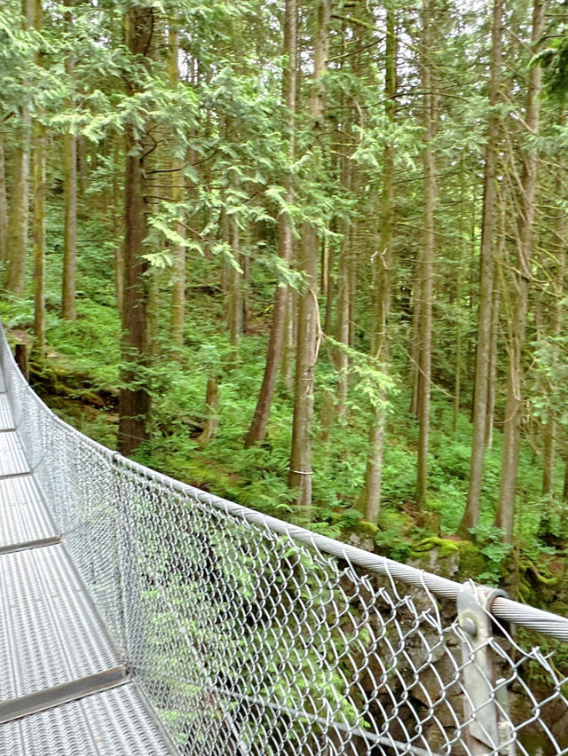 🇨🇦Vancouver근교에 시원하고 맑은 폭포Cascade falls regional park  
