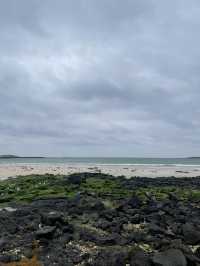 jeju island !!!!