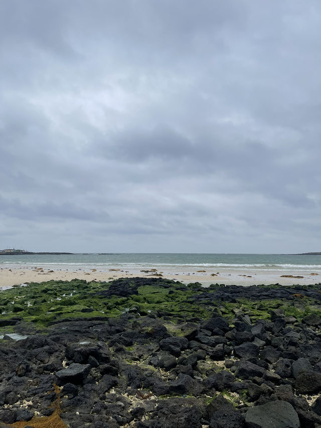jeju island !!!!