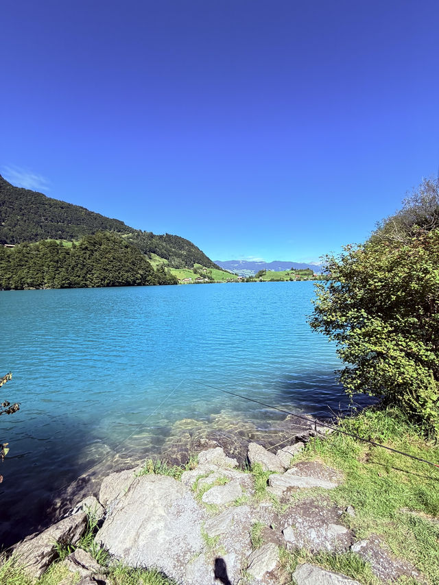 Swiss Nature Escape🌳