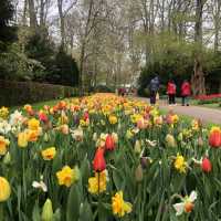 Places to go in Amsterdam