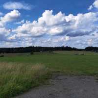 Bonn: A Fusion of History, Culture, and Nature 