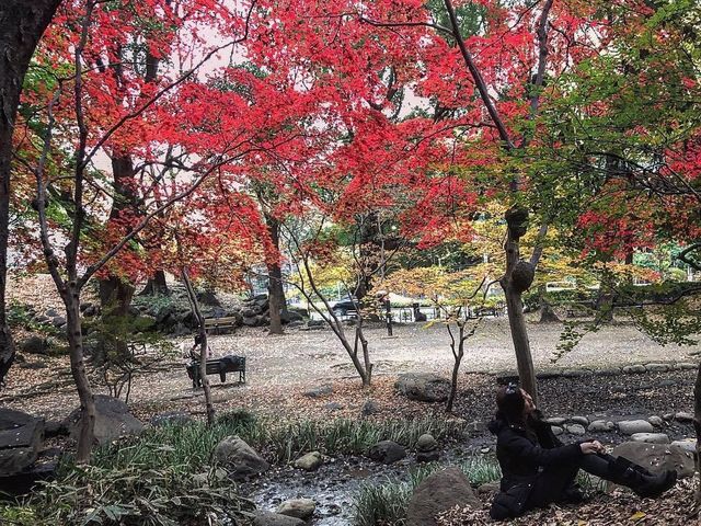 Shiba Park Tokyo 🗺️