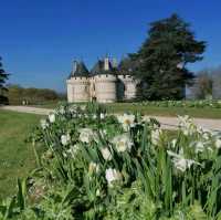 One day tour at Château de​ chaumont
