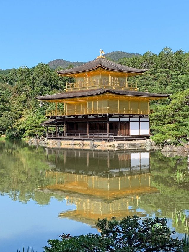 Savoring the Serenity of Kyoto's Kinkaku-ji