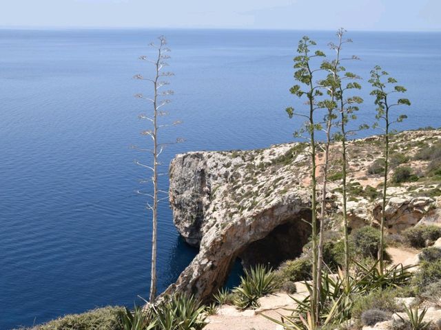 Views of Blue Grotto