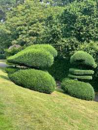 Unbelievable Topiary in a quaint seaside town.