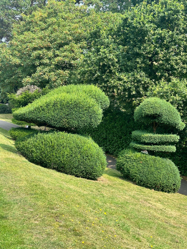 Unbelievable Topiary in a quaint seaside town.