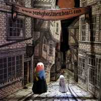 York Escapades: From Ancient Walls to Modern Wonders