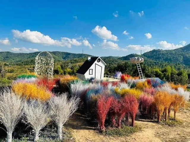 Mount Cable Myanmar 🇲🇲 