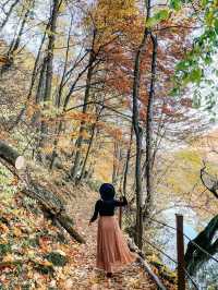 릴라프 헝가리 🍁 아름다운 가을날 😻🍁