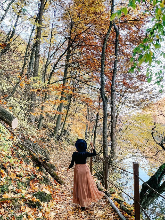 릴라프 헝가리 🍁 아름다운 가을날 😻🍁