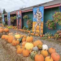 J&P's Farm Market 👻