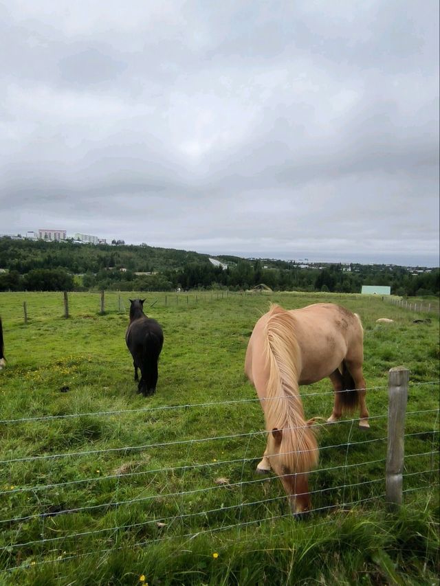 Árbær Open Air Museum
