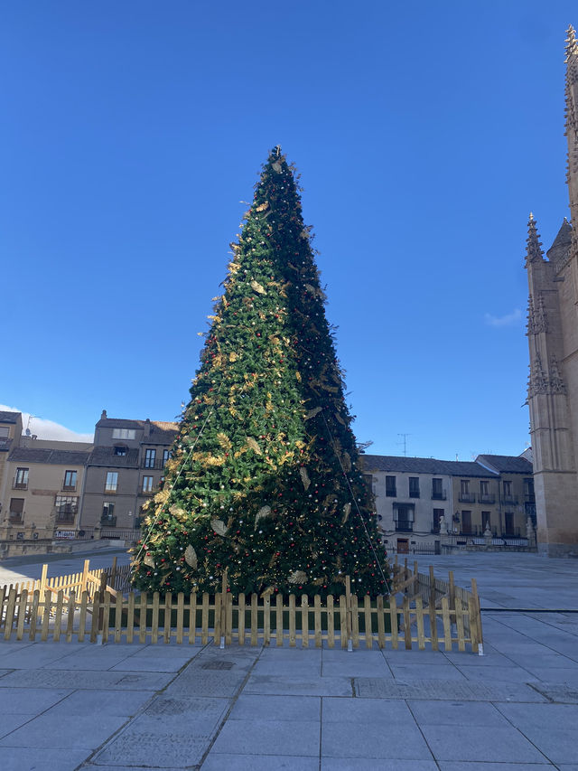 A Majestic Christmas Tree at the Alcázar