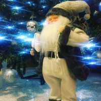 Santa Claus Under the Christmas Tree!  