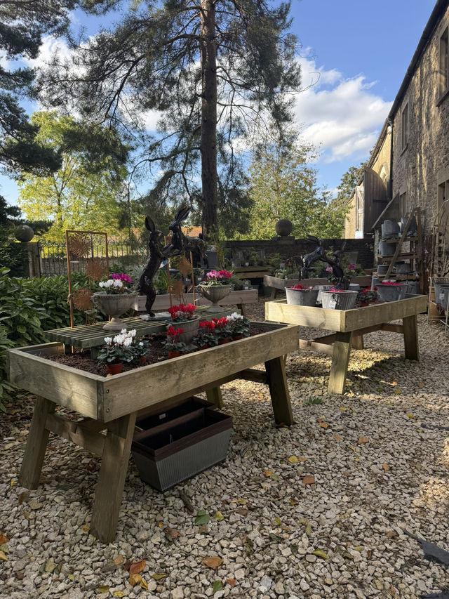 Things You Can’t Miss at Lacock Abbey! 📸✨