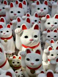 Cat lovers, do you want to go here yet? 🐱