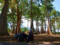 Sumbawa Road Trip