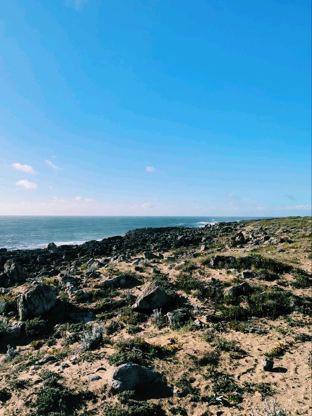 🌊 Watching the Ocean in Cascais, Portugal 🌅