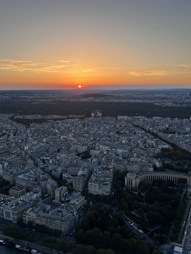 パリに行くべき5つの理由🇫🇷✈️🌎