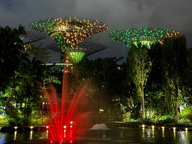 Skyline Dreams & Garden Gleams: A Singapore Story