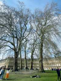 A Journey Through Bath: Roman Elegance and Culinary Tradition