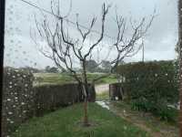 Rainy days in Portugal 