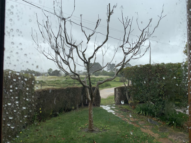 Rainy days in Portugal 